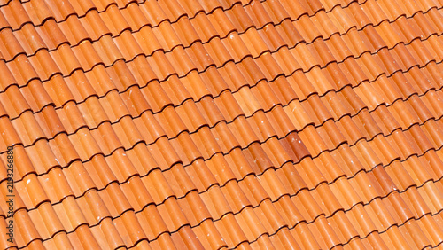 Warm terracotta tiles form wavy, repeating pattern. Sunlight highlights rich, earthy tones across each ridge. Rooftop surface shows slight wear, adding character. Texture invites tactile imagination