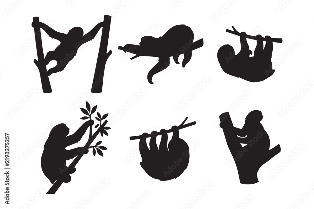 Obraz premium Set of Sloth silhouette designs