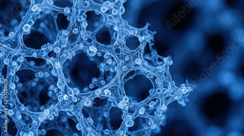 Porous hydrogel mesh seeded with cells under blue microscope light for tissue engineering and biomedical research.