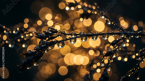 Warm glowing lights in dark night sky