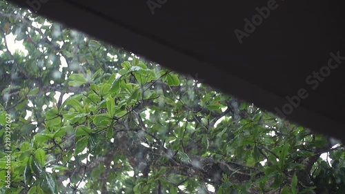 Rainwater dripping from a roof during rainfall, captured in slow motion at 100 fps with a blurred green background.