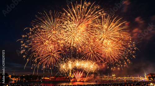 Fireworks explosion lighting up night sky