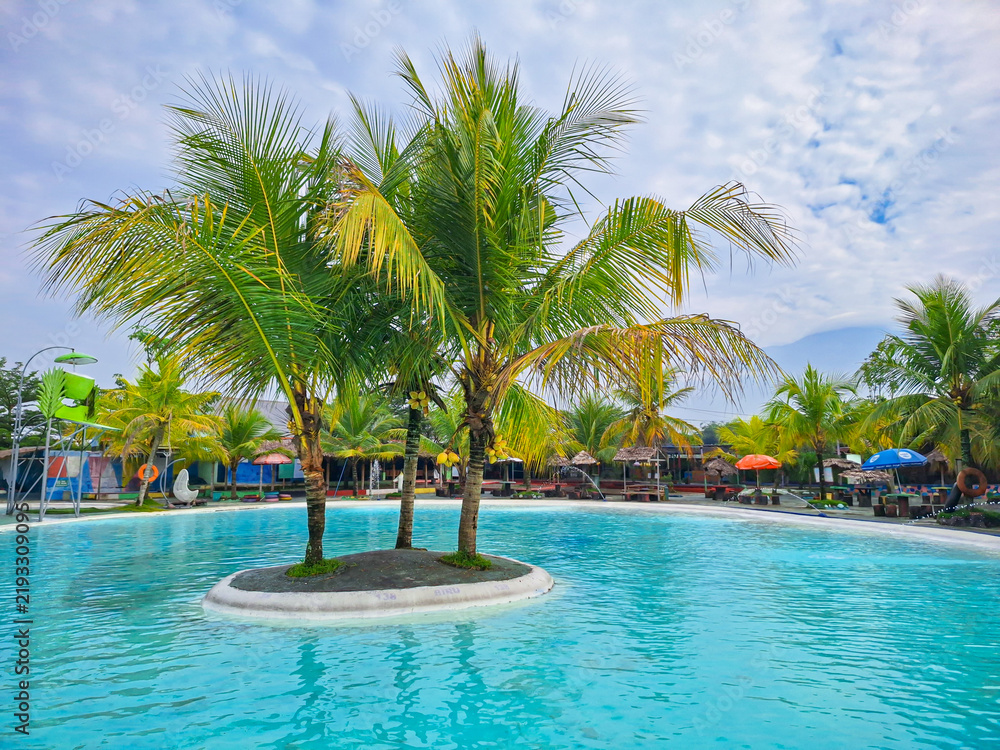 Obraz premium Turquoise swimming pool with coconut palm trees on a small island, perfect tropical vacation and summer holiday destination background.