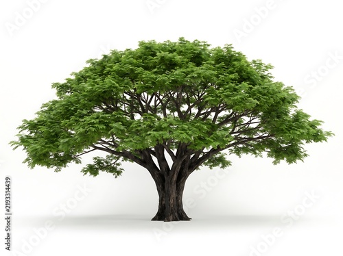 A majestic green tree stands tall, its branches spread wide under a bright sky, casting a gentle shadow on the ground below
