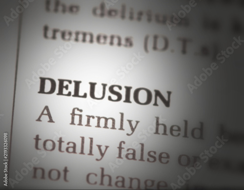 dictionary definition of the word delusion