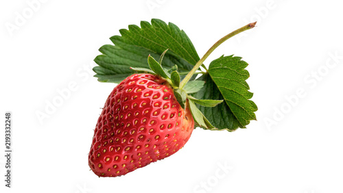 Canvastavla Single fresh ripe red strawberry with green leaf isolated on transparent background