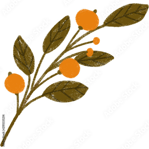 Hand Drawn Autumn Botanical Branch with Orange Berries and Green Leaves