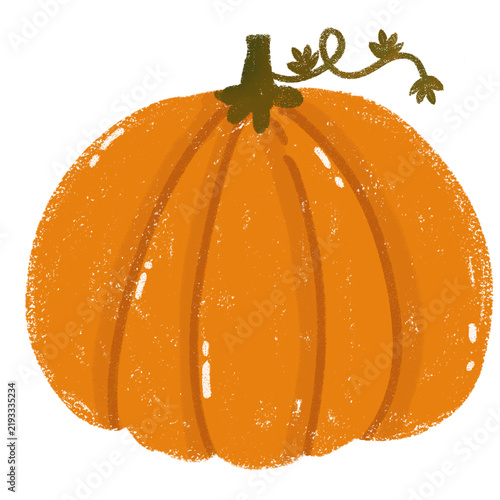 Cute Hand Drawn Autumn Pumpkin Illustration