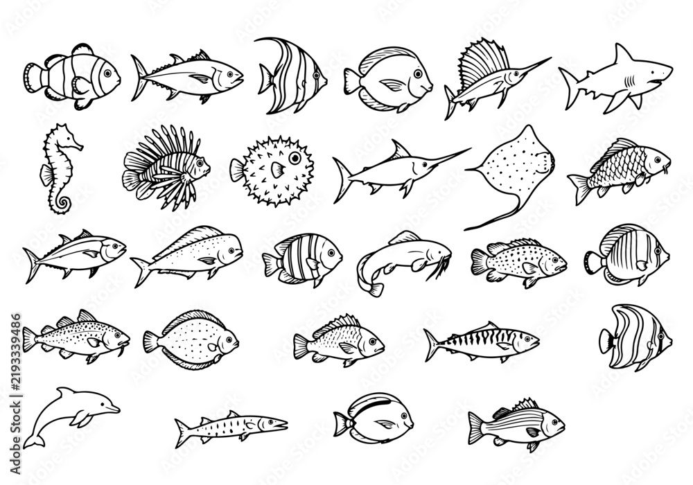 Obraz premium Sea Fish Black Line Art Collection – Hand Drawn Marine Life Vector Set