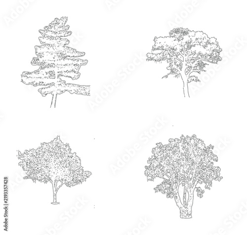 Four distinct tree silhouettes with detailed foliage and textured trunks in a clean vector style isolated on white background