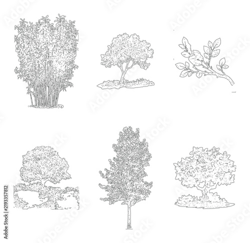 Six distinct stylized trees and a branch in detailed line art during daylight isolated on white background