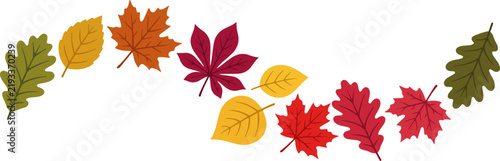 Autumn fall leaves collection in warm seasonal colors, colorful foliage elements for Thanksgiving, harvest, nature and seasonal design, editable vector