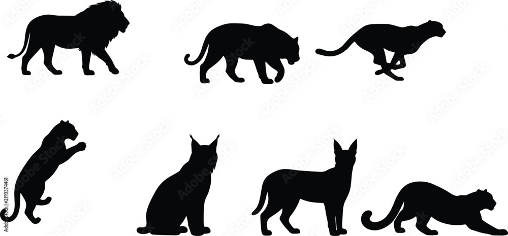 Obraz premium Set of black wild cat silhouettes isolated on white background for wildlife design projects