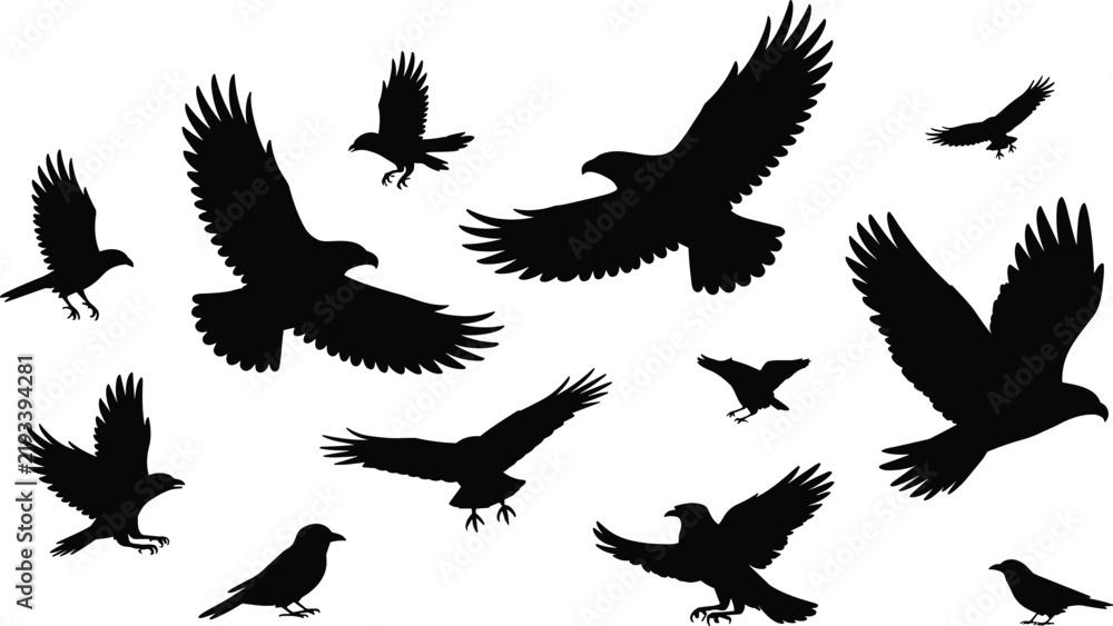 Fototapeta premium Black Eagle and Crow Silhouette Set Featuring Flying Birds of Prey and Ravens for Silhouette Crafts Halloween Graphics and Wildlife Vectors