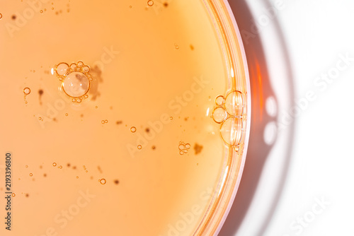 Orange cosmetic gel sample in Petri dish close-up