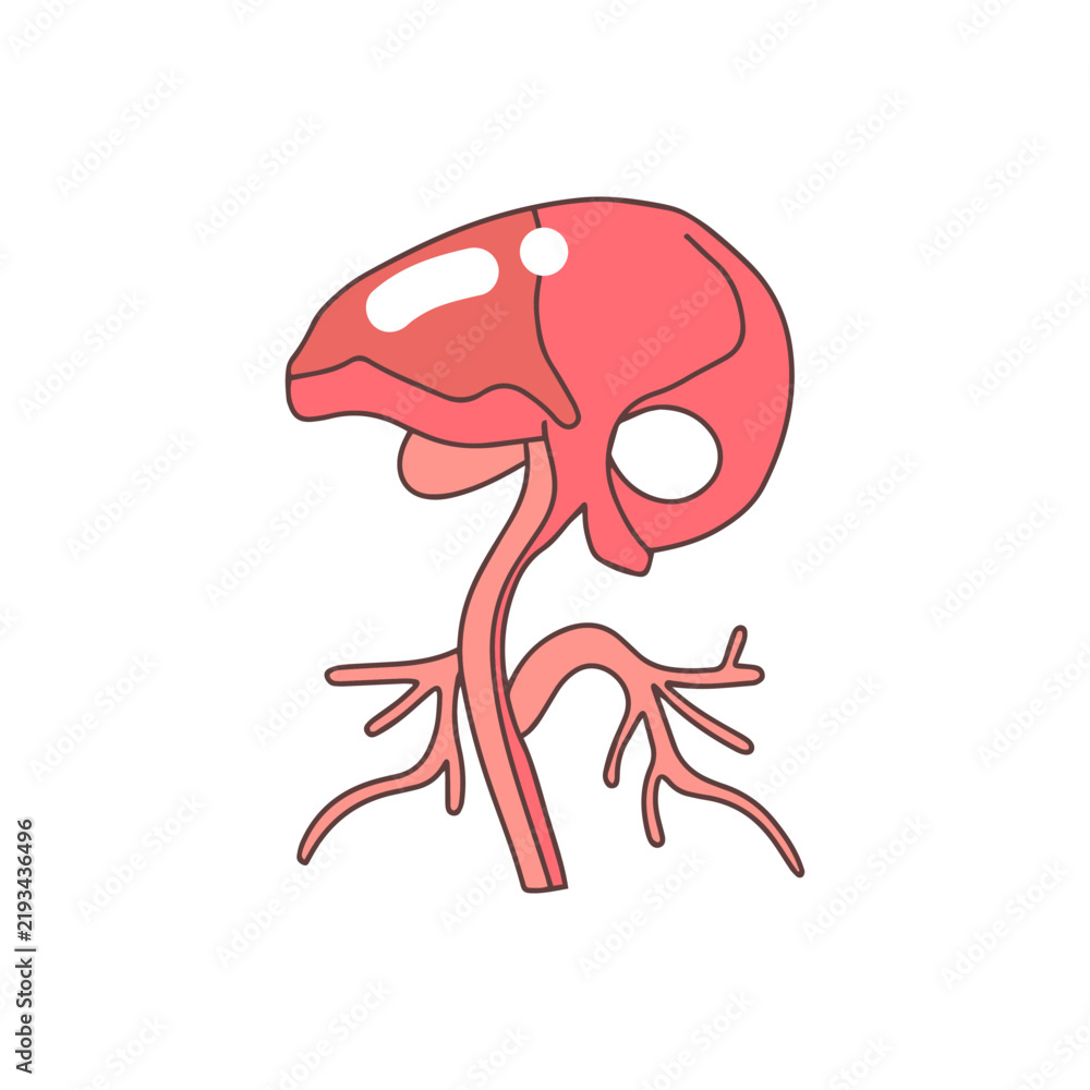 Fototapeta premium Human Organ Icons for Medicine and Health Design 
