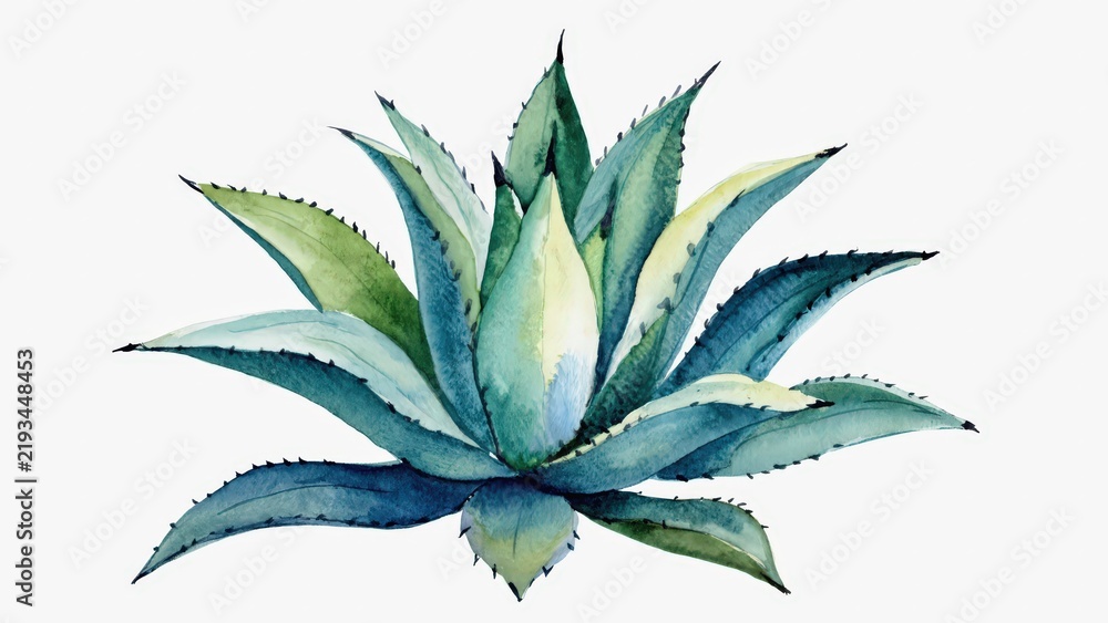 Fototapeta premium Watercolor Illustration of Blue Agave Plant: Succulent Botanical Art for Southwestern and Mexican Themes.