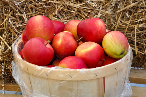 Apples in a basket