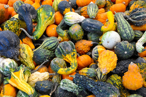 Pumpkins and gourds in the market