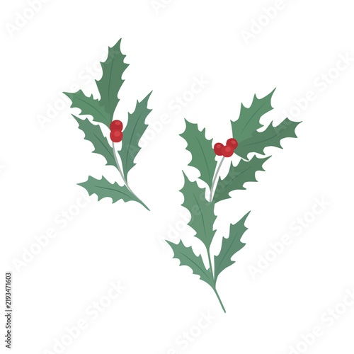 Christmas print with holly branches. Vector set on white background.