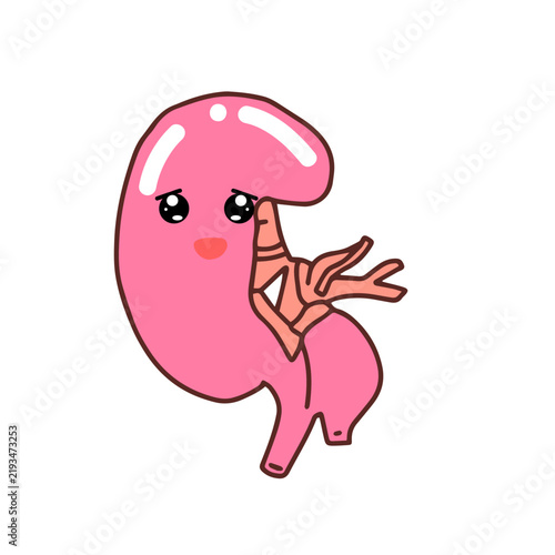 Crying expression. Kawaii Human Kidney Organ cartoon design. 