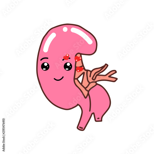 Happy expression. Kawaii Human Kidney Organ cartoon design. 
