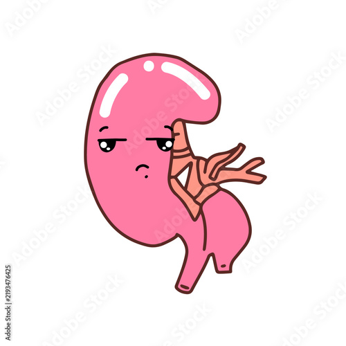 Happy expression. Kawaii Human Kidney Organ cartoon design. 