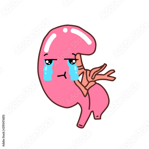 Kawaii Human Kidney Organ cartoon design. variant different expression