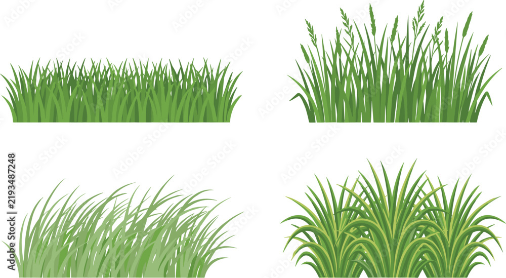 Fototapeta premium Green grass clumps vector illustration set isolated on white background for spring summer nature landscape elements lawn design and field icons
