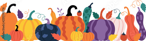 Colorful autumn pumpkins and gourds decorative border isolated on transparent background