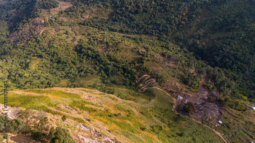 Fototapeta premium Aerial view of a winding hairpin bend dirt path on the hills near Kookal, Kodaikanal, Tamil Nadu, surrounded by lush green forests and scenic mountainous landscapes of the Western Ghats.