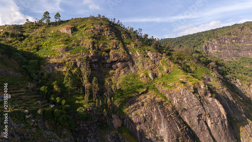 Aerial view of shola forest vegetation in Kookal, Palani Hills, Western Ghats, featuring Rudraksha, Jamun, cinnamon, grasslands, pine trees, and scattered village houses across the lush mountain lands