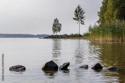 Calm water of Luleälven river with rocks and birch trees and peaceful vibe