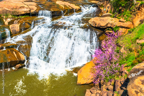 фотографія Falls Park is at the west end of Main Street in downtown Greenville, South Carolina, USA