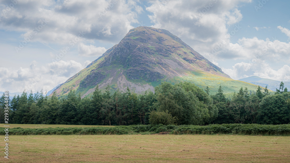 Fototapeta premium A large, grassy mountain looms under a cloudy sky, with a dense forest in the foreground.