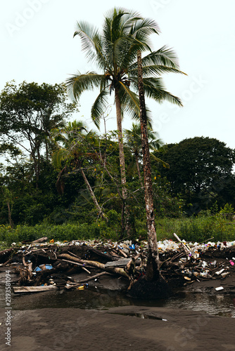 Fotografie Coconut palm tree stands in the middle of trash drifted ashore