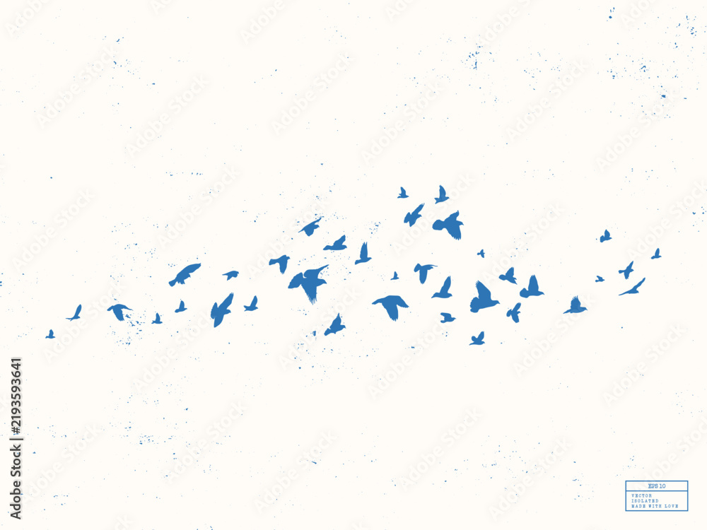 Obraz premium Graceful blue pigeon flock. Birds outline on white textured background