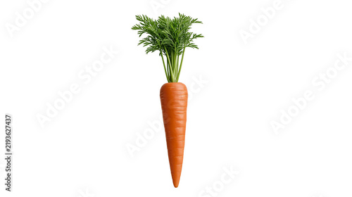 Canvastavla Isolated fresh orange carrot with vibrant green leaves, a healthy and nutritious