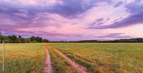 Grassy meadow with twin tire tracks beneath glowing pink and purple sunset clouds