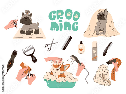 Dog grooming salon collection with cute dogs, grooming tools, haircut, washing, nail clipping, and blowout isolated on white background. Pet care vector set