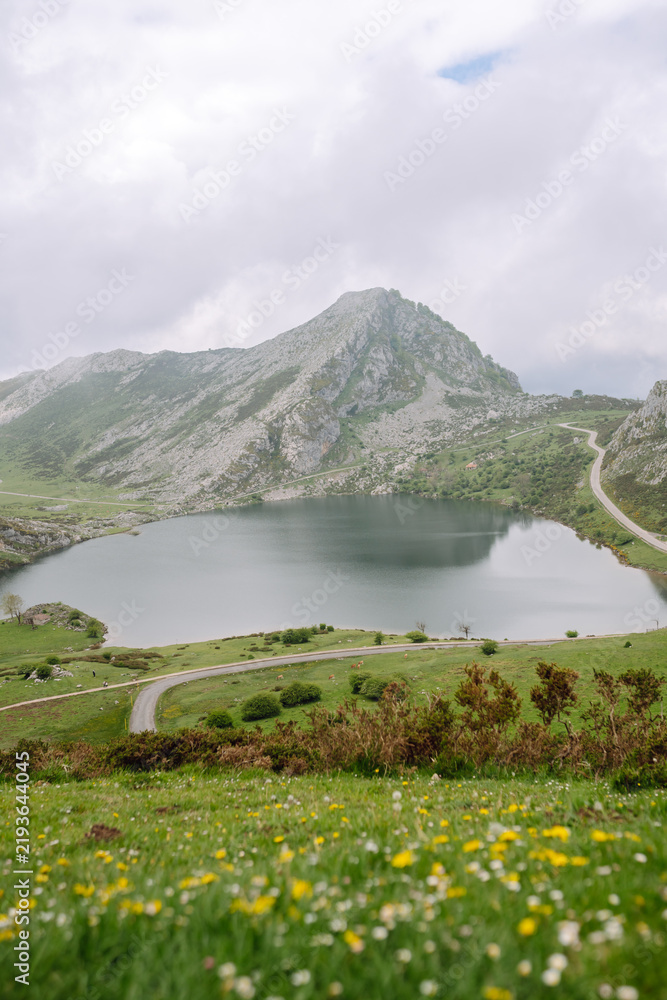Obraz premium A view of a lake surrounded by mountains in Asturias, Spain. A winding road runs through a green valley. The sky is overcast, and the landscape features lush vegetation. Nature concept.
