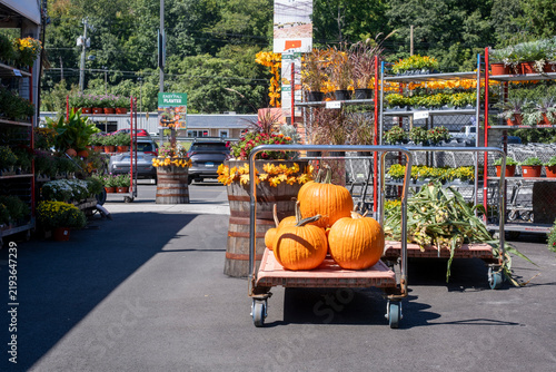 Fotografía Orange pumpkins on cart at garden center in autumn