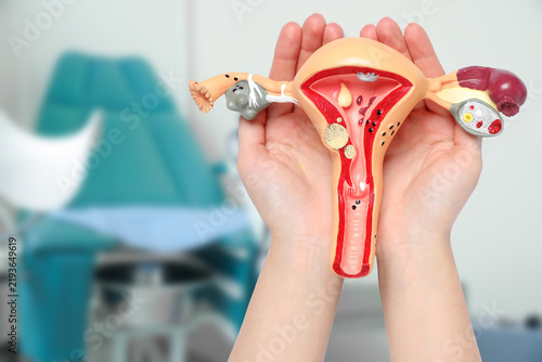 Fotografía Model of female reproductive tract in woman's hands against gynecological chair in clinic, closeup