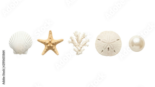 Foto Various marine seashells starfish coral and polished pearl arranged neatly as oc