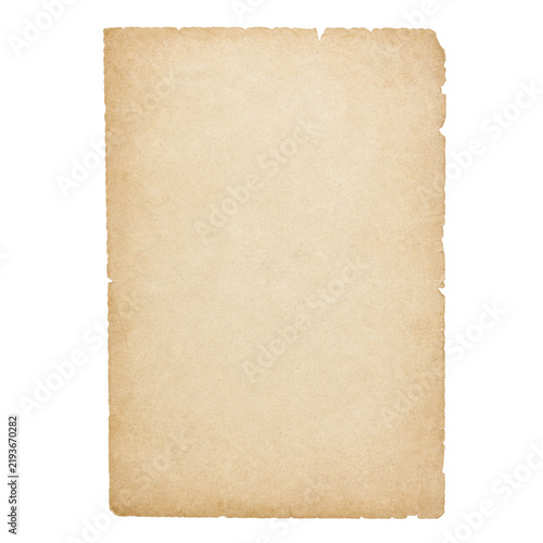 Obraz na płótnie A blank sheet of aged vintage parchment paper with rough deckled edges on a whit