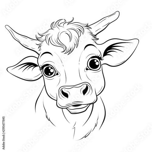 coloring book illustration of a young cute cow, kawai, sticker, graphic, crisp sharp lines, white background