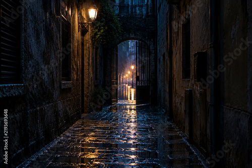 Narrow wet cobblestone alley at night with a semi-open iron door at the end.