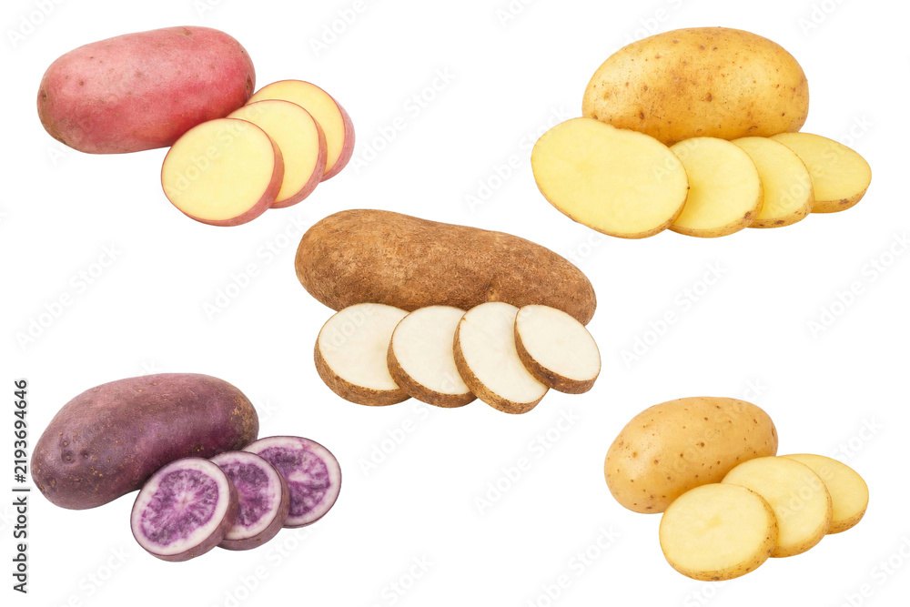 Obraz premium Collection of various raw potato varieties including red, yellow, russet and purple tubers isolated