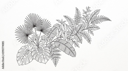 Tropical foliage illustration