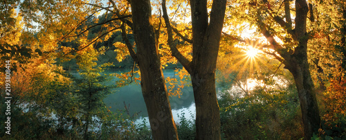 The sun shining through the foliage of yellow trees at a river. A panoramic picturesque autumn scenery.
